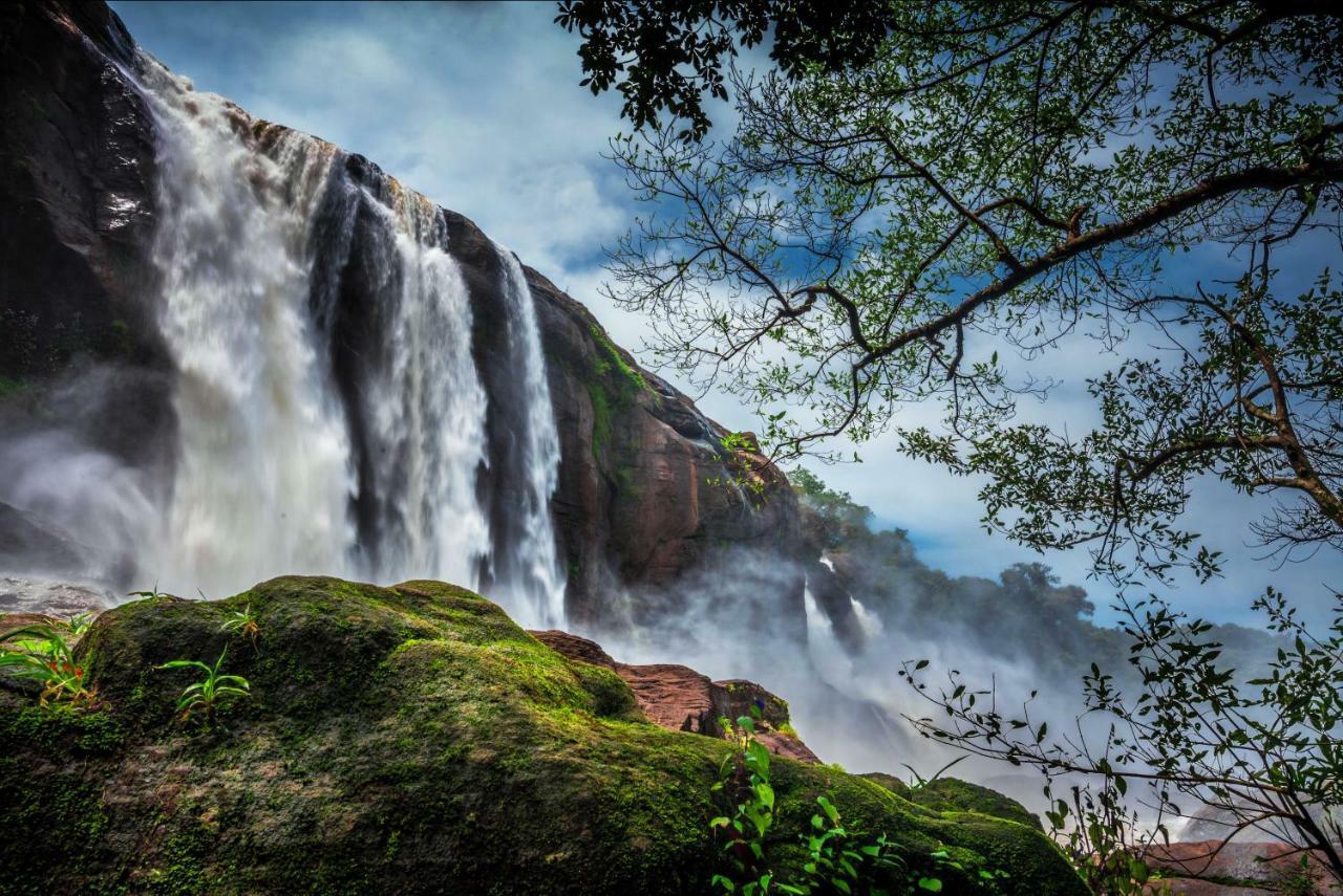 Niraamaya Retreats Samroha Athirappilly 외부 사진